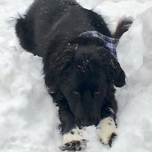 Meet your Posher, Maureen